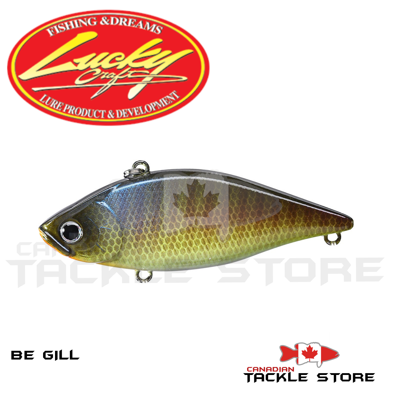 Lucky Craft Fishing Lure LV-500 Crank Bait, Chartreuse Shad, 3-Inch (75mm),  Fishing -  Canada