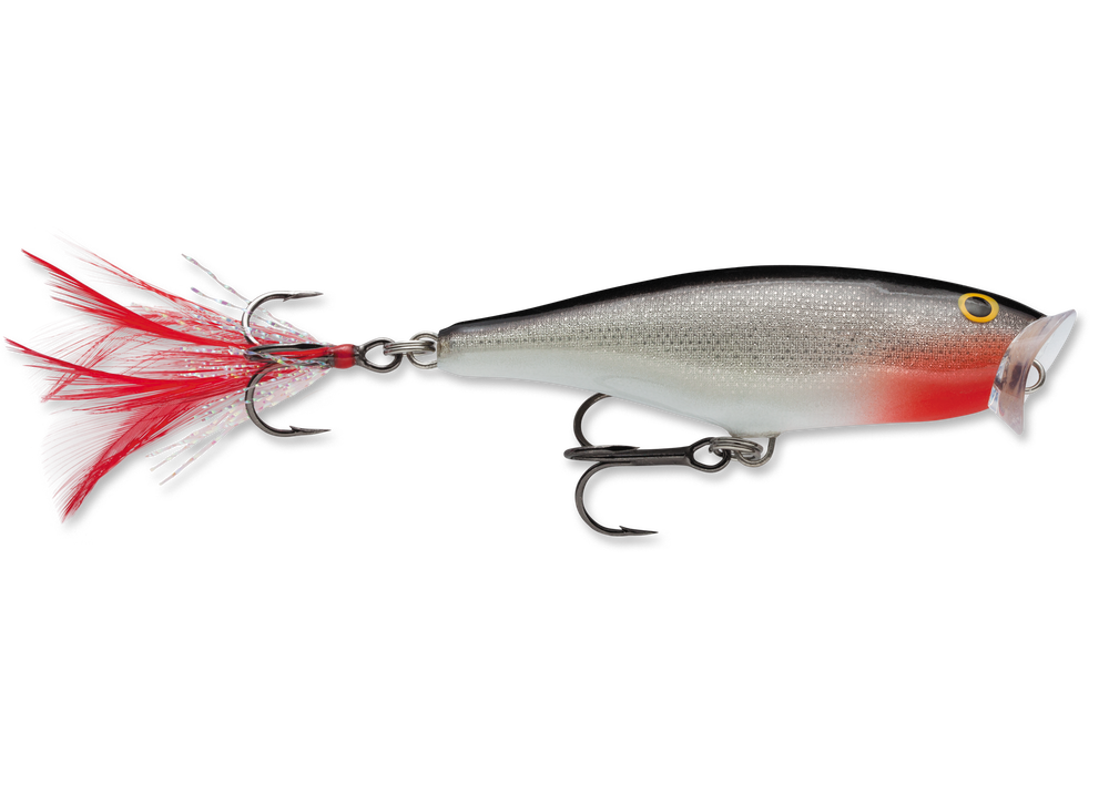  Rapala Skitter Pop 07 Fishing lure, 2.75-Inch, Gold Chrome :  Fishing Bait Traps : Sports & Outdoors