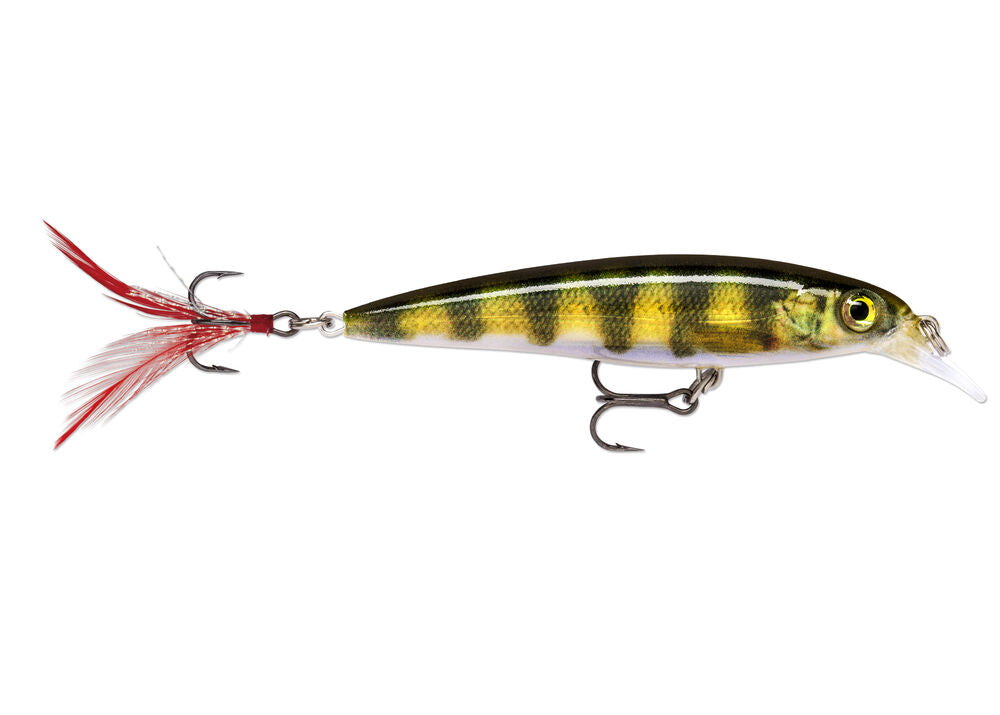  Rapala Unisex's X-Rap Saltwater Lure, Anchovy, 10 : Sports &  Outdoors